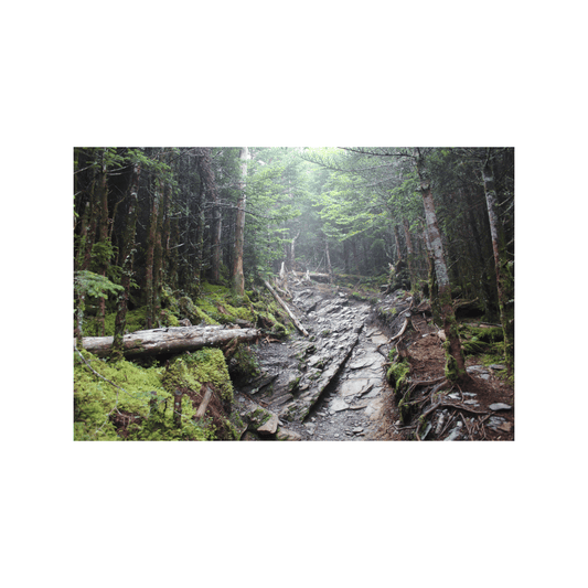 Mountain Trail - Studio miArt